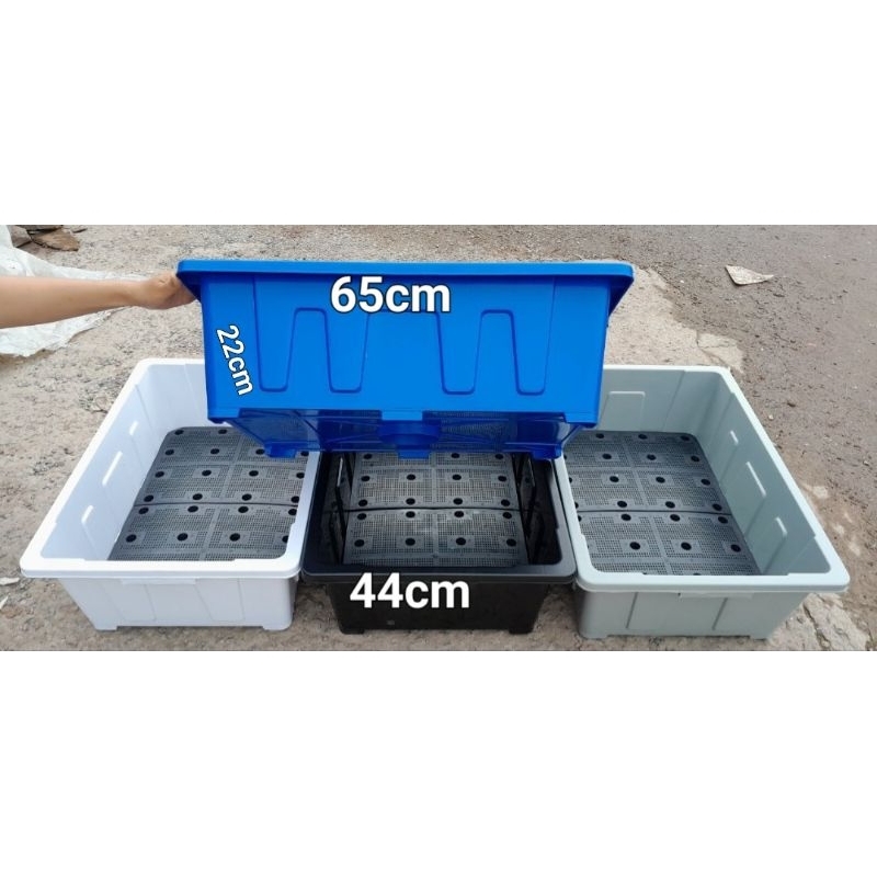 Combo 3 (combo 2) Chậu chữ nhật - khay trồng rau, trồng sen , nuôi cá ...