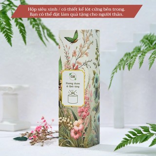 Tinh Dầu Nước Hoa Khuếch Tán Thơm Phòng - Que Khuếch Tán Hương Thơm Không Cồn An Toàn Cho Sức Khỏe