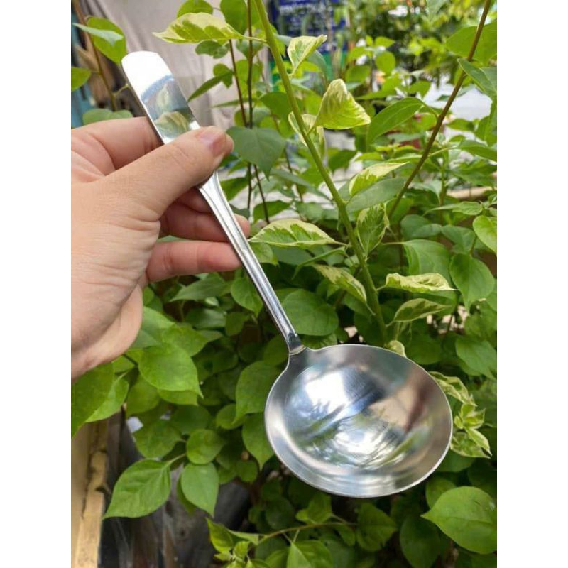 Muôi canh inox 304 100% [Có 2 kích thước, dày dặn] | Shopee Việt Nam