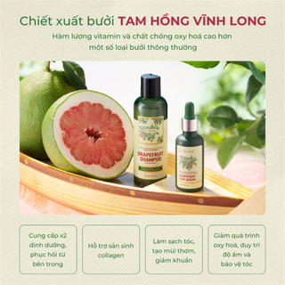 Combo Dầu Gội Bưởi & Sữa Rửa Mặt Nghệ Abera – Bí Quyết Chăm Sóc Nét Đẹp Toàn Diện Từ Thiên Nhiên