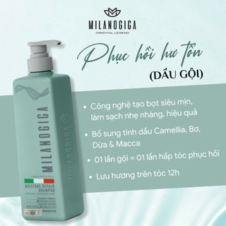 Dầu Gội , Dầu Xả hương nước hoa Milanogica 355ml Phục hồi hư tổn, Giảm gàu sạch ngứa da đầu