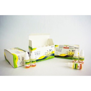 PHENYXIN ORAL Vb Pharma giúp vật nuôi hạ sốt giảm đau kháng viêm long đờm chó mèo gia súc gia cầm