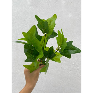 Cây lá điểm nhỏ trang trí tiểu cảnh , tường cỏ các loại- Cây lá giả