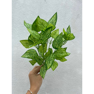 Cây lá điểm nhỏ trang trí tiểu cảnh , tường cỏ các loại- Cây lá giả