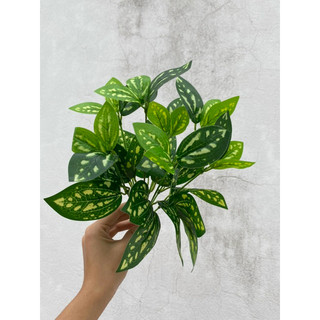 Cây lá điểm nhỏ trang trí tiểu cảnh , tường cỏ các loại- Cây lá giả