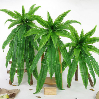 Cây/cụm dương xỉ các loại cho tường cỏ, decor , cây xanh- Cây lá giả