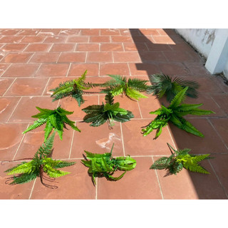 Cây/cụm dương xỉ các loại cho tường cỏ, decor , cây xanh- Cây lá giả