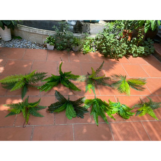 Cây/cụm dương xỉ các loại cho tường cỏ, decor , cây xanh- Cây lá giả