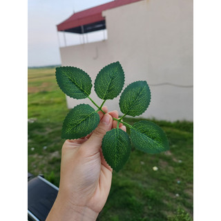 1kg lá hoa hồng các loại - Lá giả