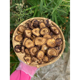 THUYTIENFOOD Nấm Đông Cô Sấy Giòn – Snack Nấm Healthy – Ăn Vặt Giòn Rụm – Không Phẩm Màu