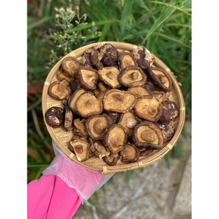 THUYTIENFOOD Nấm Đông Cô Sấy Giòn – Snack Nấm Healthy – Ăn Vặt Giòn Rụm – Không Phẩm Màu