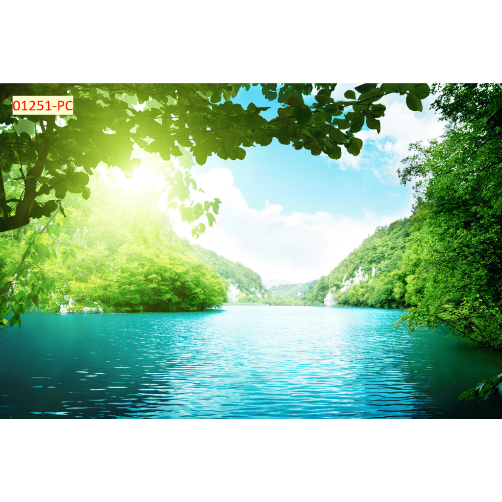 Tranh hồ nước mùa hè xanh mát decor phòng khách. Tranh lụa kim sa cao cấp...