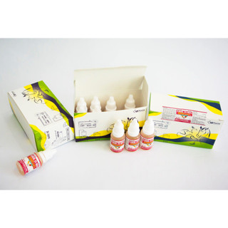 FLOCOL 23 ORAL hộp 10chai 10ml Vb Pharma trị hen suyễn viêm phồi tiêu chảy ở chó mèo gia súc gia cầm