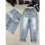 Quần Jean Baggy Nữ Rách Vảy Sơn Túi Thêu 407 - 408