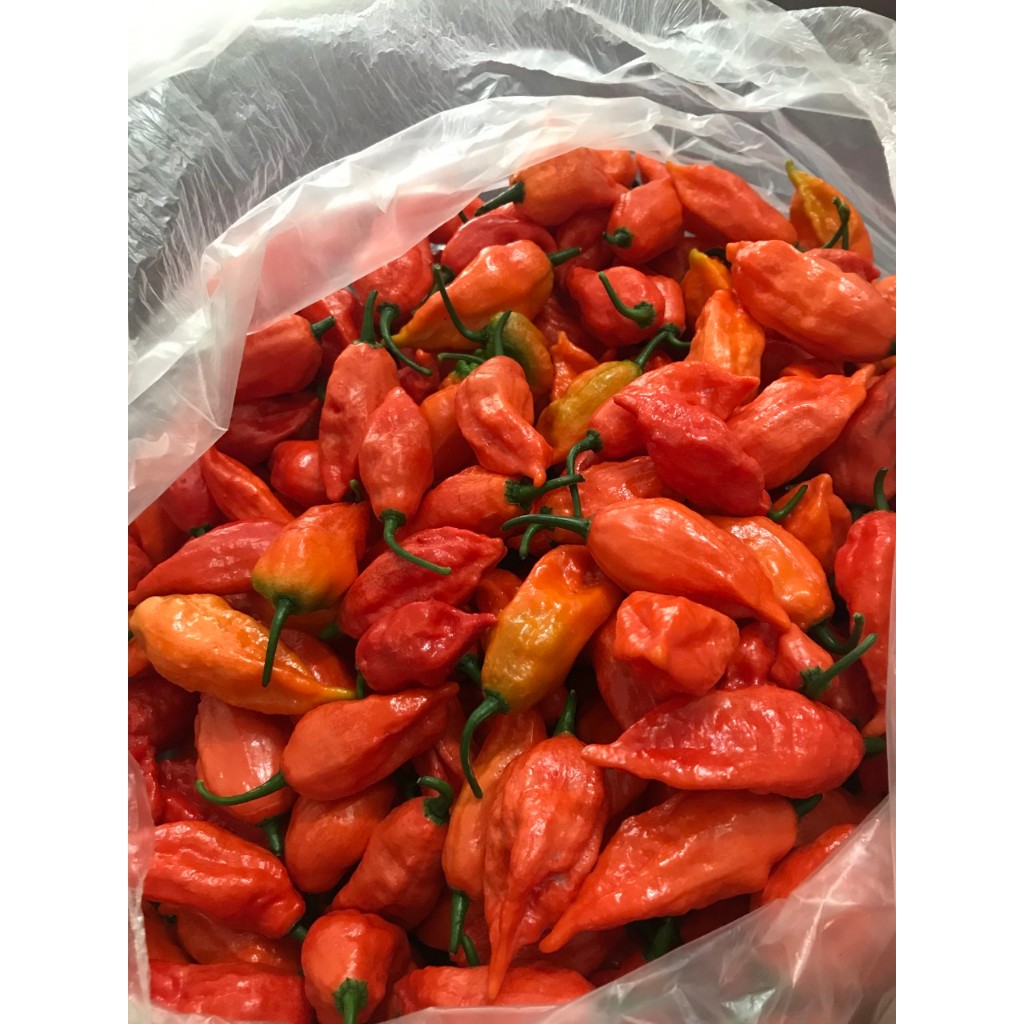 Ớt Trung Đoàn Mường Tè Lai Châu siêu cay 200g/500g/1000g