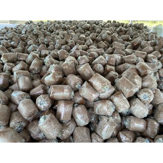 Combo 20 Meo Nấm Rơm Thần Nông (550g/meo) - Tặng Kĩ Thuật Trồng Nấm
