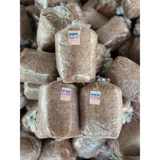 Combo 25 Meo Nấm Rơm Thần Nông (550g/meo) - Tặng Kĩ Thuật Trồng Nấm