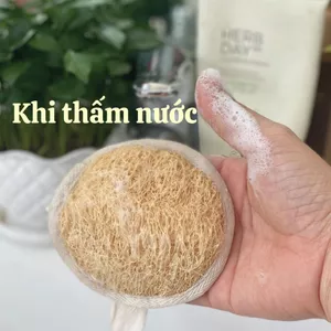 Bông rửa mặt Xơ mướp tự nhiên - Matxa mặt, tẩy trang - Thay thế cho bông mút rửa mặt, mút rửa mặt bọt biển