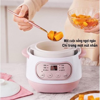 Nồi nấu cháo chậm 1 lit bé ăn dặm - Ninh hầm hấp cách thuỷ chưng yến đa năng