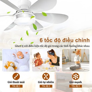Quạt trần mini 52cm quạt trần 6 cánh có đèn led cho phòng ngủ, phòng thay đồ, quạt mùng