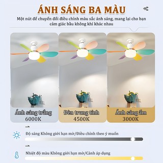 Quạt trần mini 52cm quạt trần 6 cánh có đèn led cho phòng ngủ, phòng thay đồ, quạt mùng