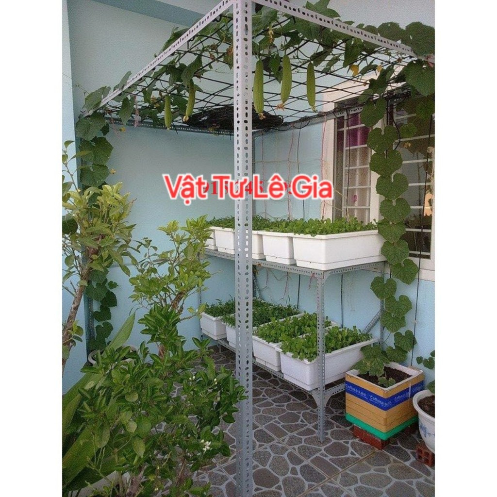 khung giàn trồng rau ,bầu bí ,dưa đỗ cây than leo đa năng ( Dài 2m x ...