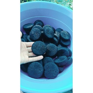 combo 10 cục giá thể cắm cây thủy sinh 110k