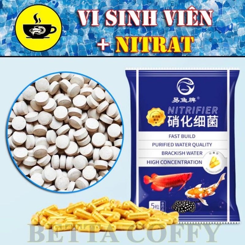 Vi sinh EM - Chuyên sử lý nước đục nước bị ố vàng làm trong nước bể cá ...