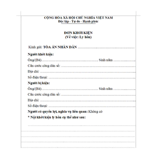 Ly hôn đơn phương mẫu đơn viết tay 02 bản in A4