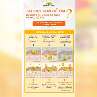 Kẹo dẻo Nature's Way Kids Smart Vita Gummies Vitamin C + ZinC - Bổ sung kẽm và vitamin C tăng đề kháng cho bé (60 viên)