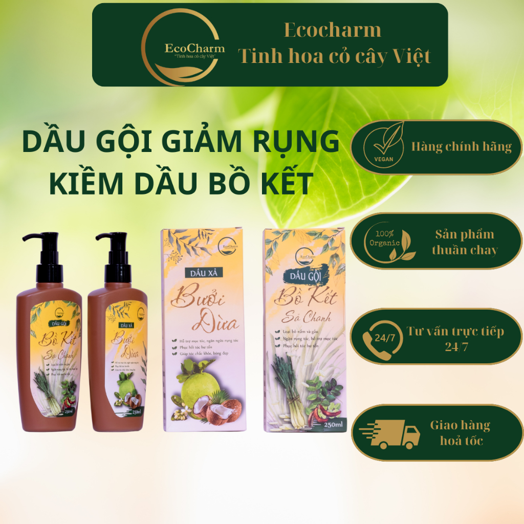 Combo dầu gội bồ kết sả chanh, xả bưởi dừa Ecocharm thảo mộc thiên ...