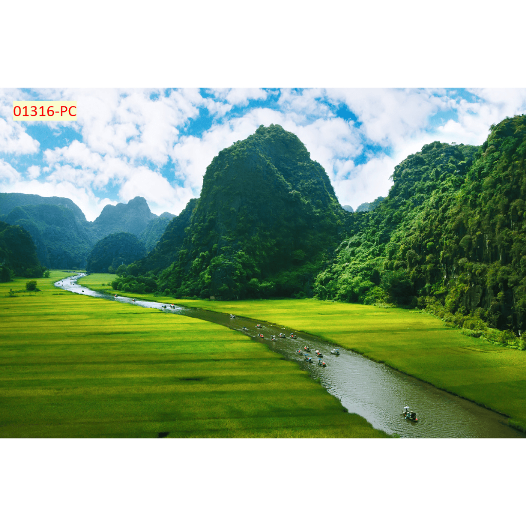 Tranh phong cảnh thiên nhiên đồng cỏ- Tranh lụa kim sa 3D cao cấp...