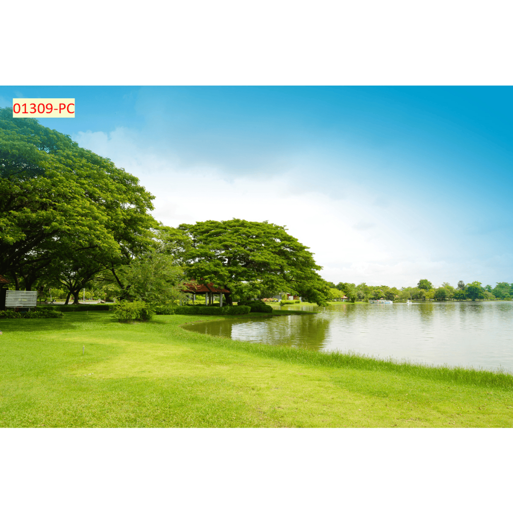 Tranh phong cảnh thiên nhiên đồng cỏ- Tranh lụa kim sa 3D cao cấp...