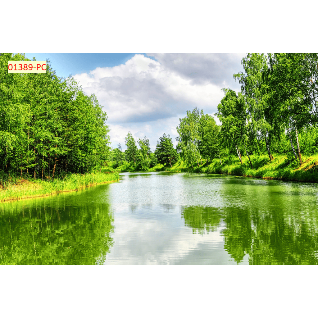 Tranh phong cảnh thiên nhiên đồng cỏ- Tranh lụa kim sa 3D cao cấp...