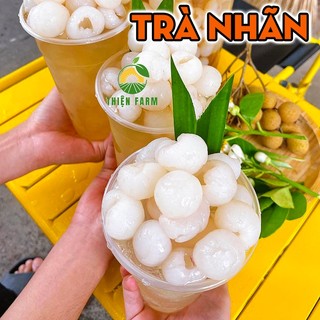 Cây Nhãn Xuồng Vàng THIỆN FARM 60cm, quả to, cơm dày, thịt mềm ngọt đậm, trồng chậu, thùng xốp