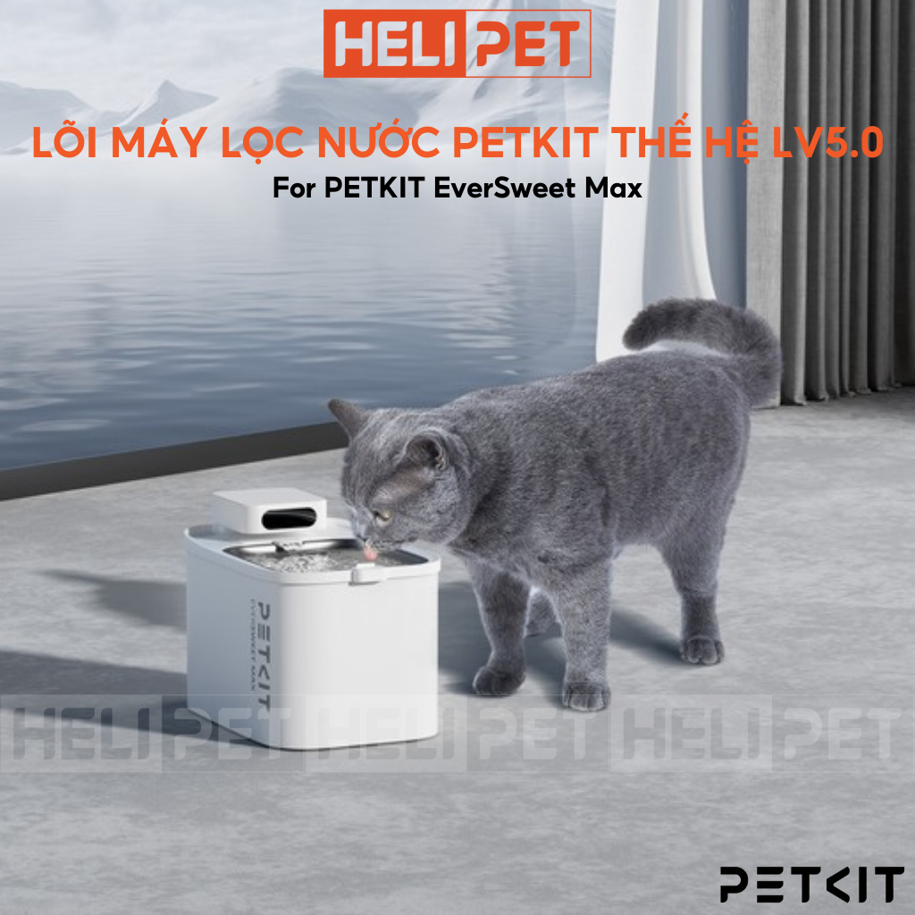 Ảnh [Bản Quốc Tế] Lõi Lọc Nước PETKIT Filter RECT Dùng Cho PETKIT Eversweet Max - HeLiPet 2