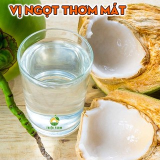 Cây Dừa Dứa THIỆN FARM 55cm, vị ngọt thanh, hương dứa thơm mát, mau cho trái, nhiều nước