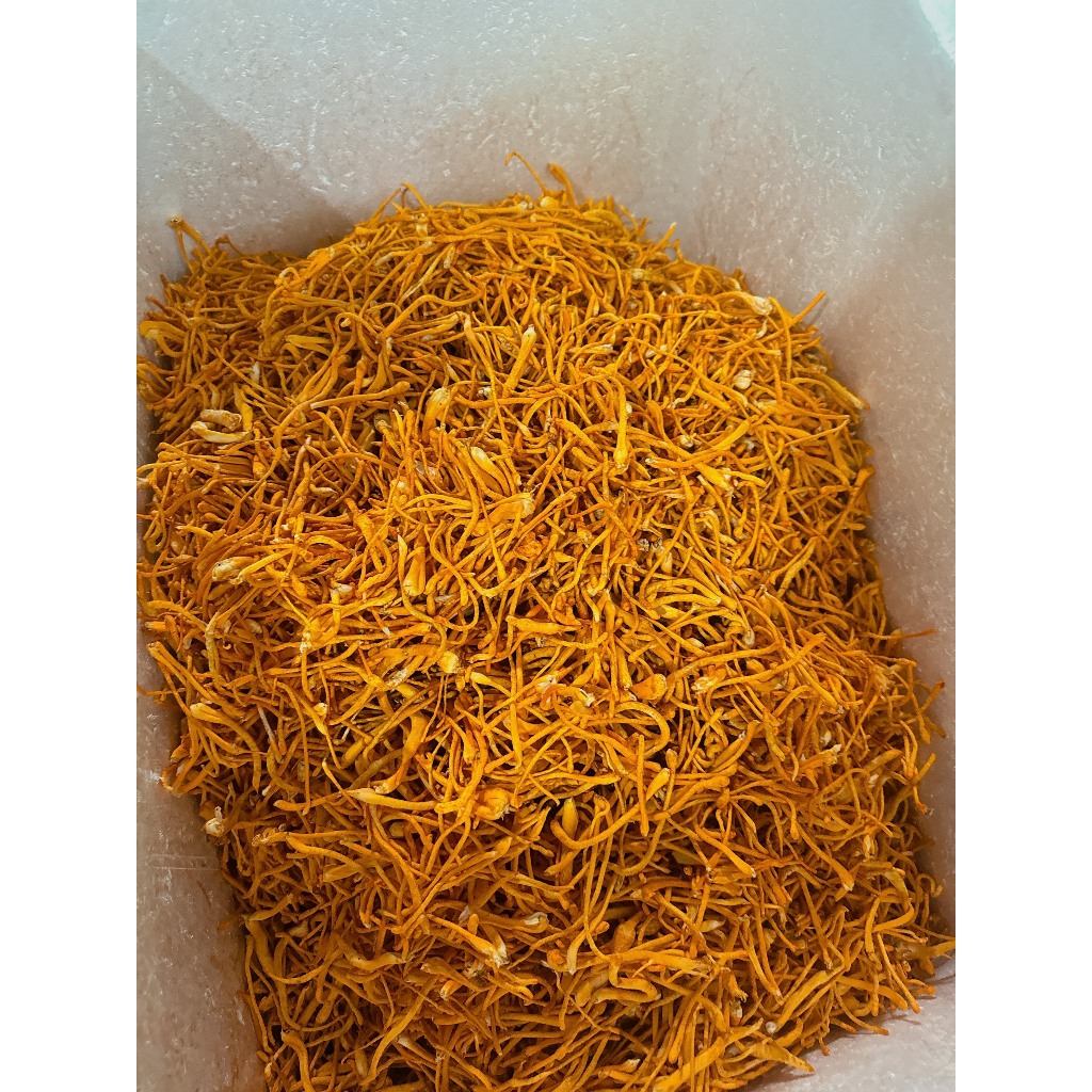 Hũ 10 Gram Đông Trùng Hạ Thảo Loại 1 Sấy Thăng Hoa  - Yến Sào Phạm Gia