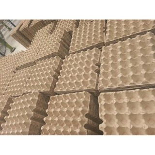 Khay đựng trứng bằng giấy trang trí lớp học mầm non