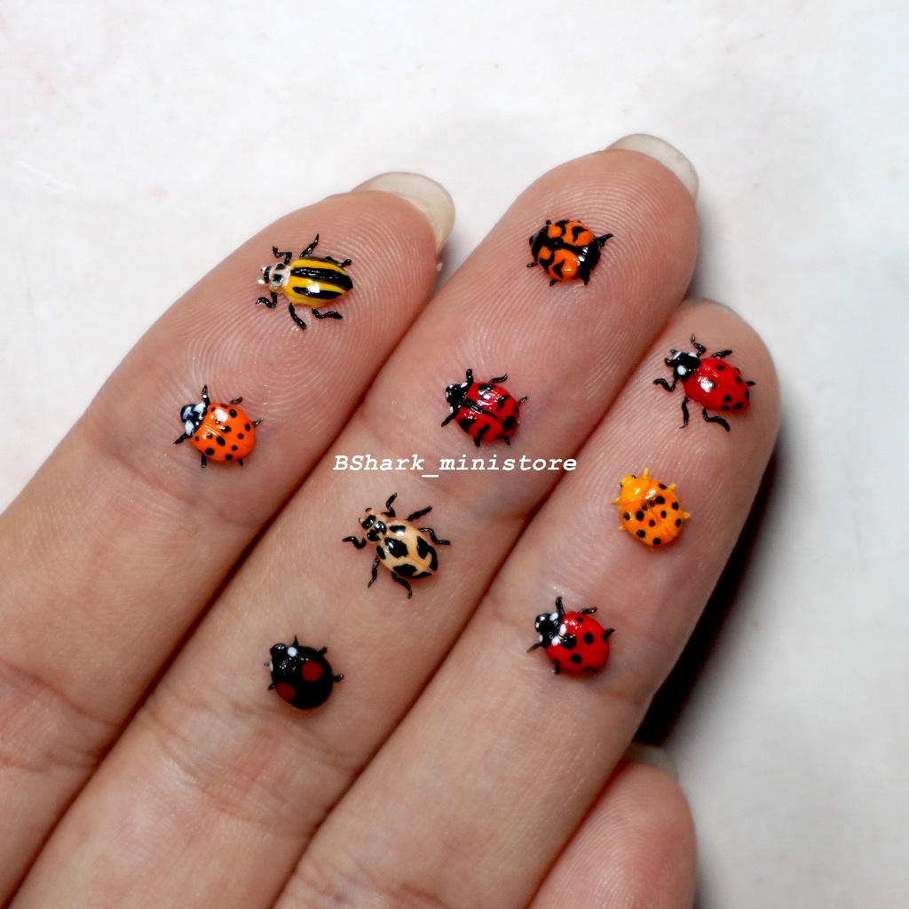 MÔ HÌNH Bọ Rùa bằng đất sét Thái kích thước thật tỉ lệ 1:1 | Shopee ...