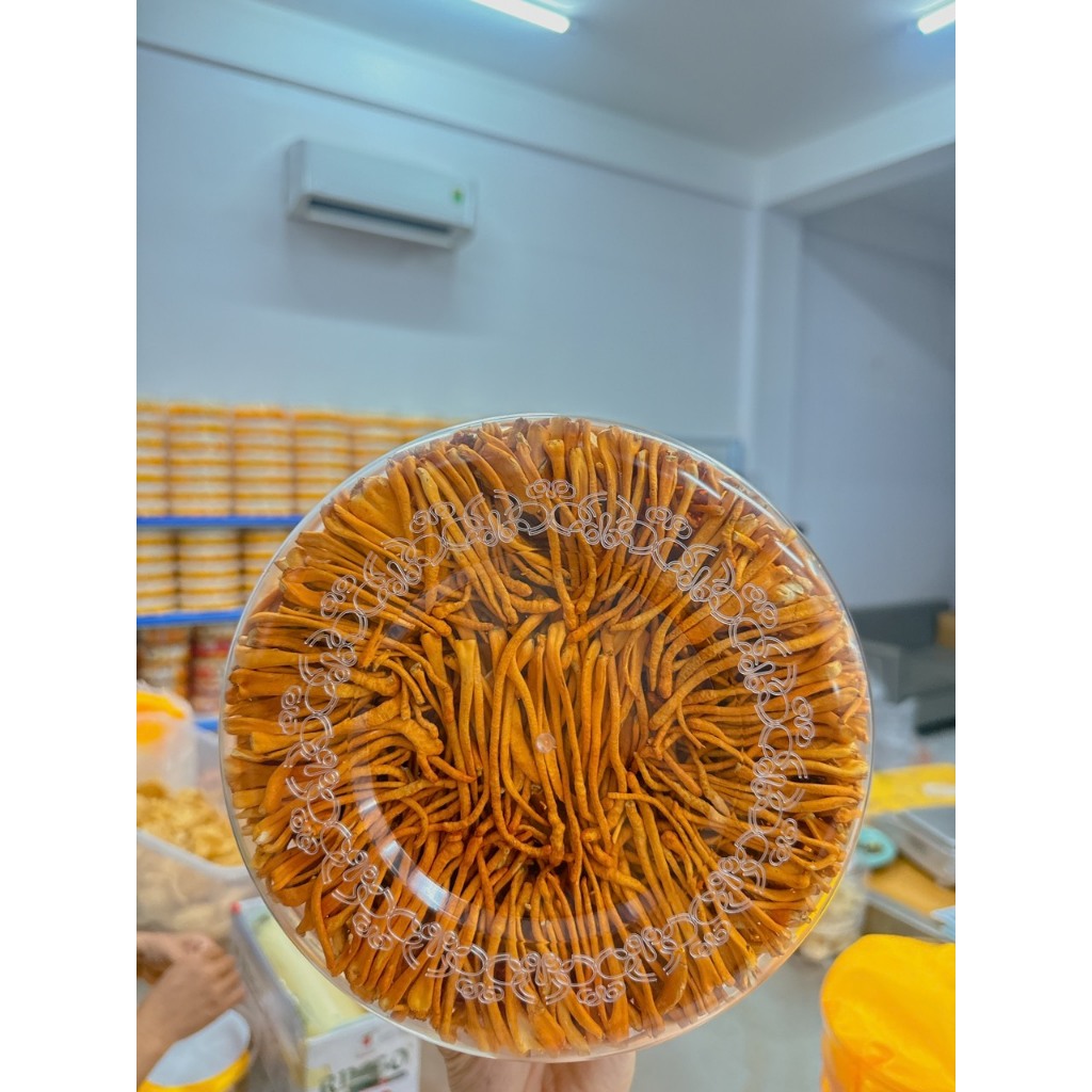 Hũ 5 Gram Đông Trùng Hạ Thảo Loại 1 Sấy Thăng Hoa  - Yến Sào Phạm Gia