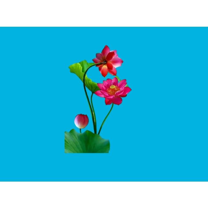 HÌNH ỦI ÁO-HÌNH HOA SEN ủi áo trực tiếp bằng bàn ủi ÁO ĐẸP -Hình in chuyển nhiệt -Gía Khuyến Mãi-THOTRANG.OFFICAL-LUCK