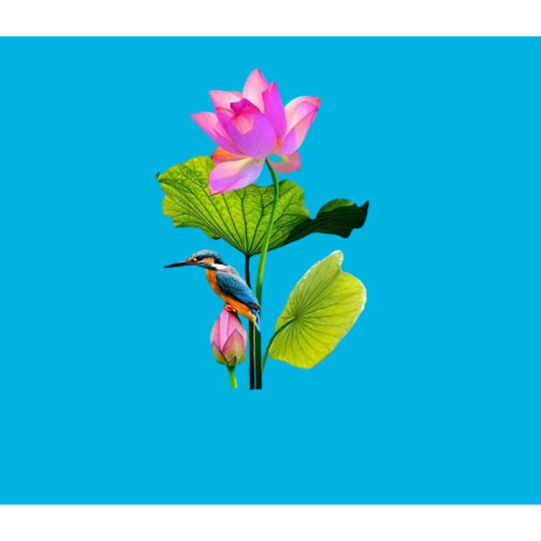 HÌNH ỦI ÁO-HÌNH HOA SEN ủi áo trực tiếp bằng bàn ủi ÁO ĐẸP -Hình in chuyển nhiệt -Gía Khuyến Mãi-THOTRANG.OFFICAL-LUCK
