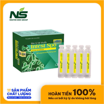 Bào tử lợi khuẩn Intest Spo NSG chứa 3 tỷ lợi khuẩn bổ sung lợi khuẩn.