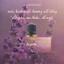 Tinh dầu oải hương (lavender) 10ml nguyên chất kèm thiệp xinh xinh - Liệu pháp mùi hương