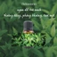 Tinh dầu trà xanh (green tea) thanh mát thư giãn 10ml nguyên chất kèm thiệp xinh xắn