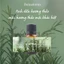 Tinh dầu hương thảo (rosemary) 10ml giúp thư giãn, thơm phòng, đuổi côn trùng
