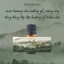 Tinh dầu tông gỗ Into the woods 10ml thư giãn, trầm lắng, an yên - The Tea Stories