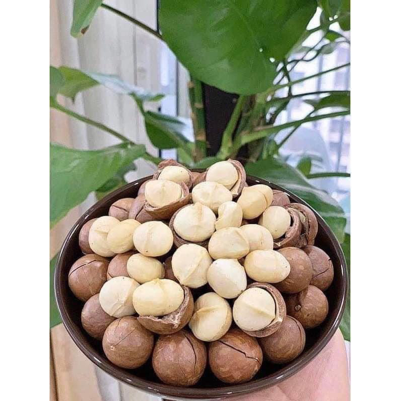 500gr Hạt Macca Lai Châu nhà trồng size A (hạt macca sấy nứt vỏ,hạt đều đẹp giòn,thơm,không hôi dầu)