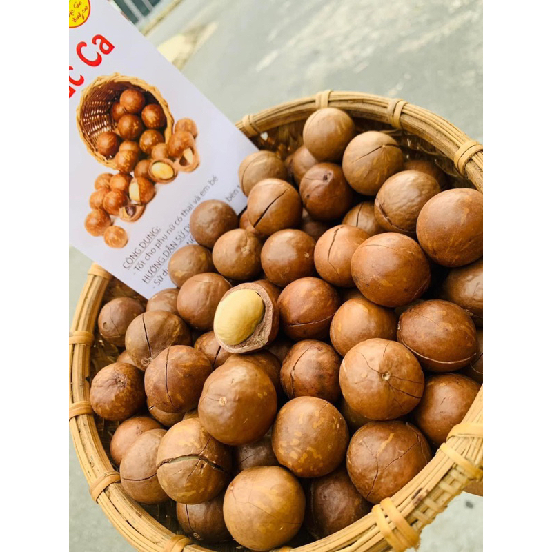 500gr Hạt Macca Lai Châu nhà trồng size A (hạt macca sấy nứt vỏ,hạt đều đẹp giòn,thơm,không hôi dầu)